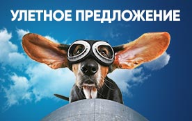 Выгодные цены для новых абонентов