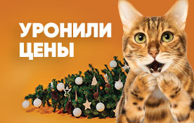 Осторожно, падение цен!