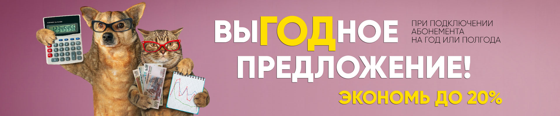 Абонемент на полгода или год