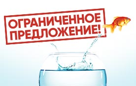 Ограниченное предложение: привлекательные тарифы и трейд-ин на роутеры