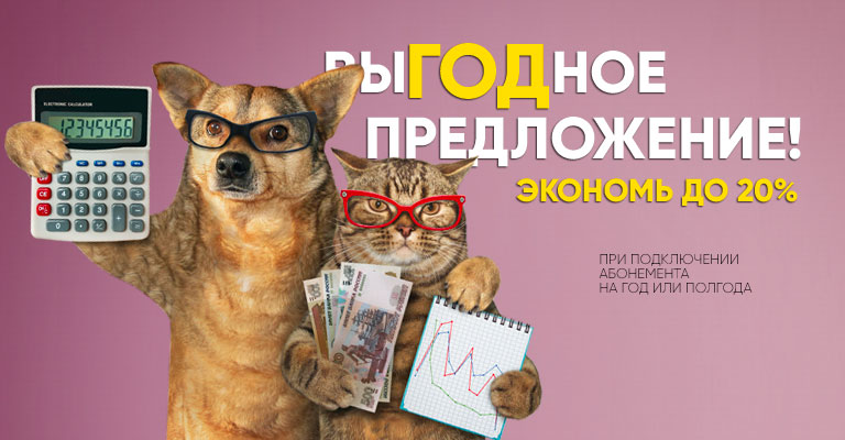 Абонемент на полгода или год